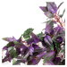 Umělá Gynura závěsná dekorativní rostlina, v. 50 cm