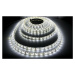 LED pásek - SMD 5050 - 5m - 60LED/m - 14,4W/m - IP65 - studená bílá