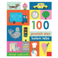 100 prvních slov kolem tebe - Edward Underwood