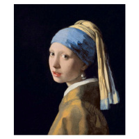 Obrazová reprodukce Dívka s perlou, Jan Vermeer, 35x40 cm