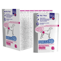 Forza 10 Intestinal Active - 12 x 100 g