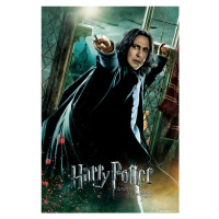 Plakát, Obraz - Harry Potter - Severus Snape, 61x91.5 cm