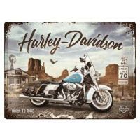 Plechová cedule Harley-Davidson - King of Route 66, (40 x 30 cm)