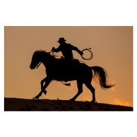 Ilustrace Cowboy & Horse Sunset Silhouette, Darrell Gulin, 40 × 26.7 cm