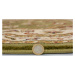 Flair Rugs koberce Kusový koberec Sincerity Royale Sherborne Green kruh Rozměry koberců: 133x133