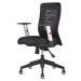 Kancelářská otočná židle CALYPSO, s područkami a univerzálními kolečky, síťované opěradlo černá 