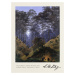 Obrazová reprodukce The Forest under Moonlight (Vintage Fantasy Landscape) - Casper David Friedr