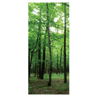 FTN V 2920 Vliesová fototapeta dveřní Forest, velikost 90 x 202 cm
