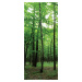 FTN V 2920 Vliesová fototapeta dveřní Forest, velikost 90 x 202 cm