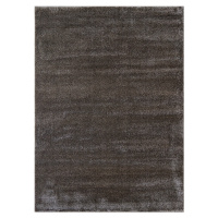 Berfin Dywany Kusový koberec Toscana 0100 Brown - 160x230 cm