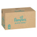 Pampers Active Baby Pleny 6 11-18kg měsíční balení 128 ks