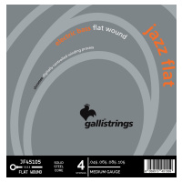 Galli Jazz Flat 4-Strings Long Scale MED JF4505