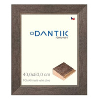 DANTIK rámeček 40 × 50, TOMAS šedý velký plexi čiré