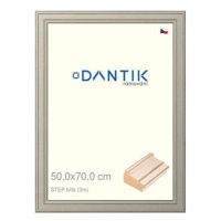 DANTIK rámeček 50 × 70, STEP bílý plexi čiré