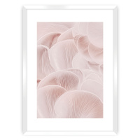 Dekoria Plakát Pastel Pink I, 21 x 30 cm, Zvolit rámek: Bílý