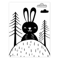 Obraz na zeď - černobílý zajko v lese