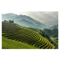 Umělecká fotografie Rice fields on terraced of Mu, wiratgasem, (40 x 26.7 cm)