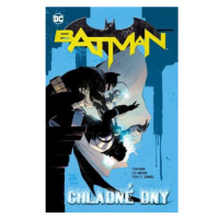 Batman - Chladné dny