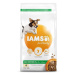 IAMS Dog Adult Small & Medium Chicken 3 kg