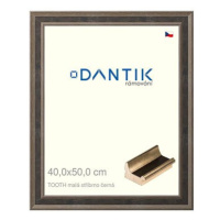 DANTIK rámeček 40 × 50, TOOTH malý stříbrno černý plexi čiré