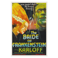 Obrazová reprodukce The Bride of Frankenstein (Vintage Cinema / Retro Movie Theatre Poster / Hor