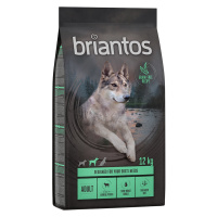 Briantos granule, 12 / 14 kg - 10 % sleva - Adult jehněčí & brambory - bez obilovin (12 kg)