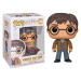 Funko Pop! #118 Harry Potter with 2 wands