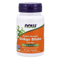NOW Ginkgo Biloba Double Strenght, 120 mg