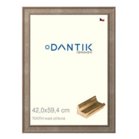 DANTIK rámeček 42 × 59,4, TOOTH malý stříbrný plexi čiré