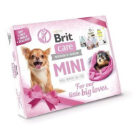 Brit Care Mini Box 2023