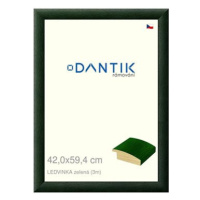 DANTIK rámeček 42 × 59,4, LEDVINKA zelený plexi čiré