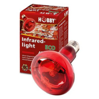 Hobby Infrared light ECO 70 W