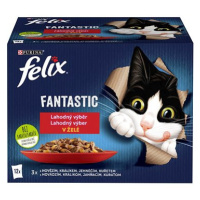 Felix Fantastic s kuřetem, hovězím, králíkem a jehněčím v želé 12 x 85 g