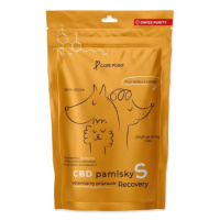 Pamlsok CBD Recovery S 100g