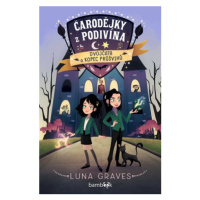 Čarodějky z Podivína 1 - Dvojčata a kopec průšvihů - Luna Gravesová