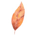 Fotografie autumn leaves a watercolor on a, Tatyana Boyko, 40x40 cm