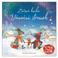 Zářivá kniha: Vánoční stromek - Alison Friend (ilustrátor), Sam Taplin - kniha z kategorie Pohád