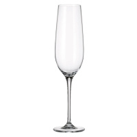 Crystalite Bohemia sklenice na šampaňské Uria 270 ml 6KS