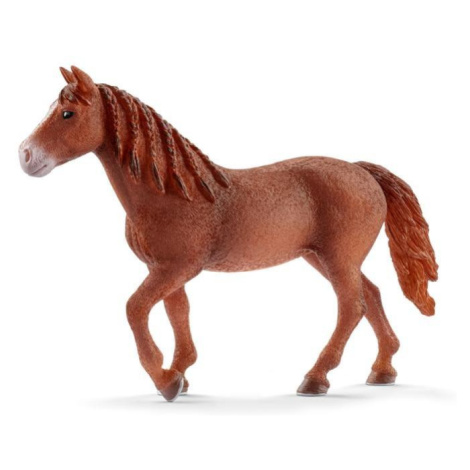 Schleich 13870 Morgan Horse kobyla