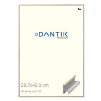 DANTIK rámeček 29,7 × 42, ALU profil 6030 Dýha slovnový kost plexi čiré