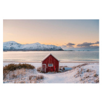 Fotografie Solitary red cabin in a fjord, Lofoten Islands, Marco Bottigelli, 40 × 26.7 cm