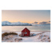 Fotografie Solitary red cabin in a fjord, Lofoten Islands, Marco Bottigelli, 40 × 26.7 cm