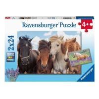 Ravensburger Puzzle 2x24 dílků Fotky koní