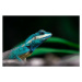 Fotografie Close-up shot of The blue-crested lizard., Suphameth Jaruthaninphong, 40 × 26.7 cm