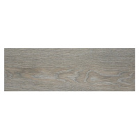 Dlažba Stylnul Articwood argent 21x62 cm mat ARTW26AR