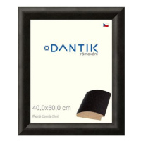 DANTIK rámeček 40 × 50, René černý sklo čiré