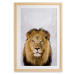 Nástěnný obraz v rámu Surdic Lion, 30 x 40 cm