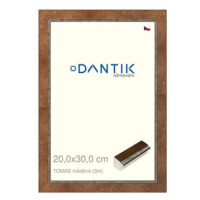 DANTIK rámeček 20 × 30, TOMAS měděný sklo čiré