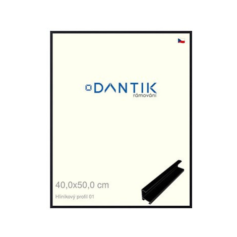 DANTIK rámeček 40 × 50, ALU profil 7001 Černý matný sklo čiré