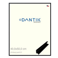 DANTIK rámeček 40 × 50, ALU profil 7001 Černý matný sklo čiré